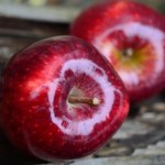 תפוח עץ - מתאים לתזונת ספורטאים