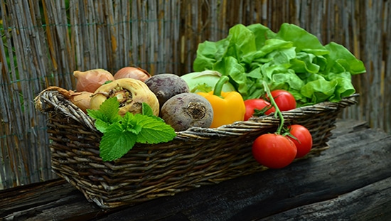 משתלם לשלב מגוון מזונות מהצומח בתזונה שלנו. צילום: pixabay