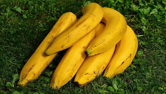 בננה פצצת אנרגיה