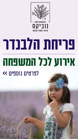 Novix_Festival_Corner