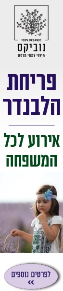 Novix_Festival_Migdal