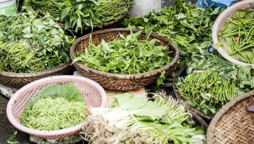 חג שבועות ירוק