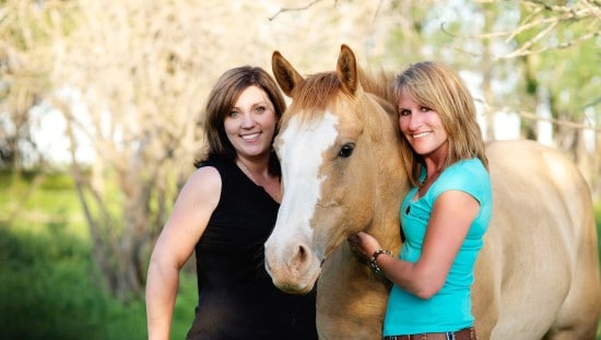 אסטרוגן משתן של סוסות הרות אינו בטוח לשימוש בנשים. צילום: pixabay