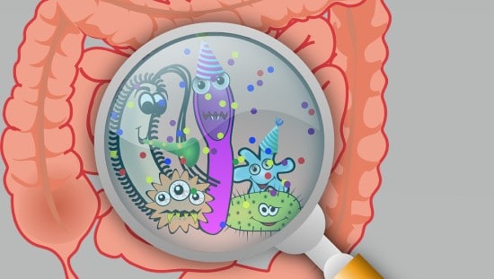 חיידקים שליליים ששוהים במעיים יותר מידי זמן עלולים לגרום לדלקות. צילום: pixabay