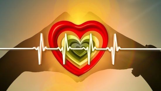 לכולסטרול יש גם תפקיד בשמירה על בריאות הלב. צילום: pixabay
