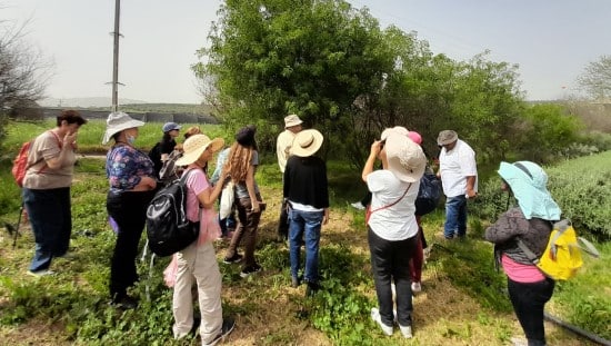 המפגשים הפרונטליים כוללים סיורים ולמידה בשטח
