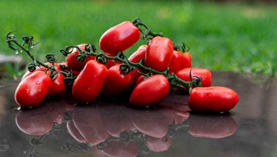 עגבניות שרי מהגינה של תמרי. צילום: ענת פנחס, אישה ועדשה