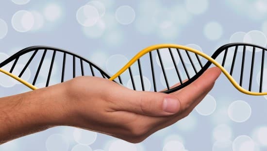 יש לנו ולסביבה השפעה על אופן ביטוי הגנים. צילום אילוסטרציה: pixabay