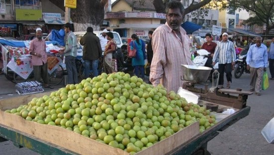 פירות האמלה בהודו. צילום: חגית אריאלי שיינפלד
