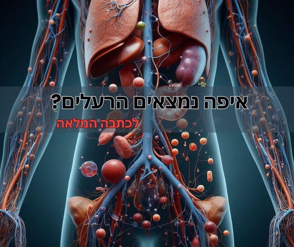 איפה נמצאים הרעלים? חלק א' - EatWell