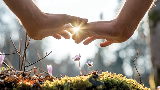 הכל כדי לעזור לכם לפרוח. צילום: iStock