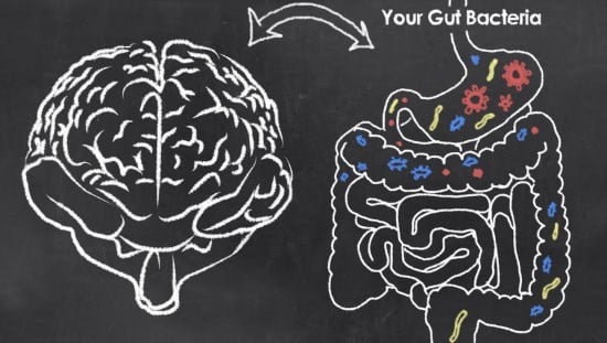 המחקר בחן את הקשר בין חיידקי המעי לחלבונים במוח המהווים סמנים למחלת אלצהיימר. איור: 123RF