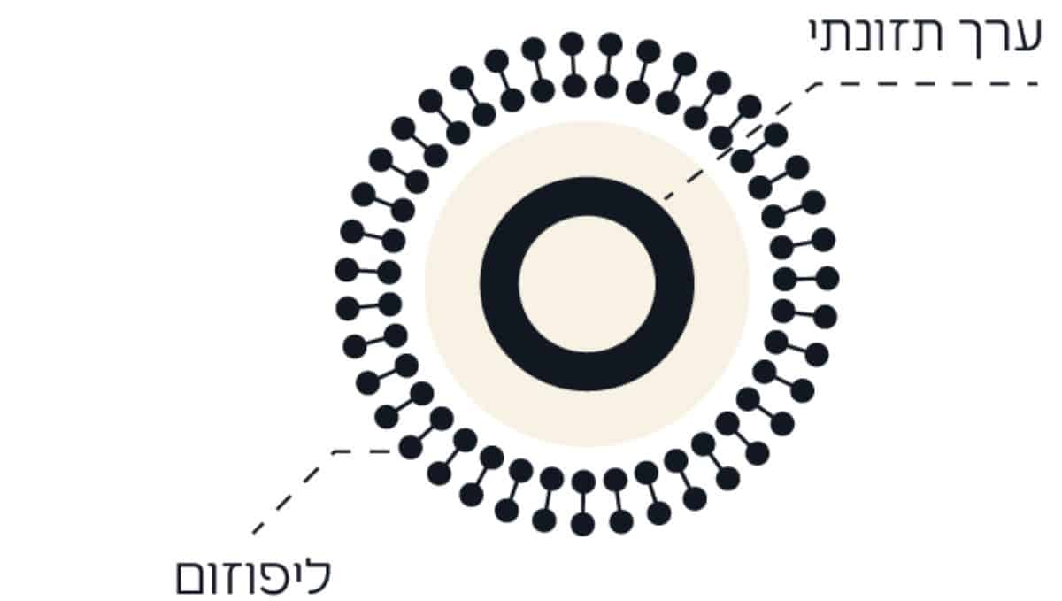 תרשים של הליפוזום עוטף את הרכיב התזונתי 