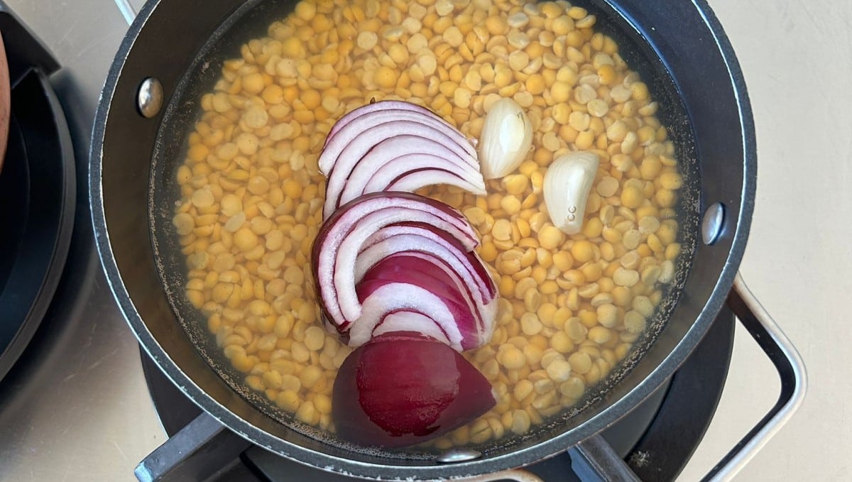 פאבה בהכנה. צילום: אביטל סבג