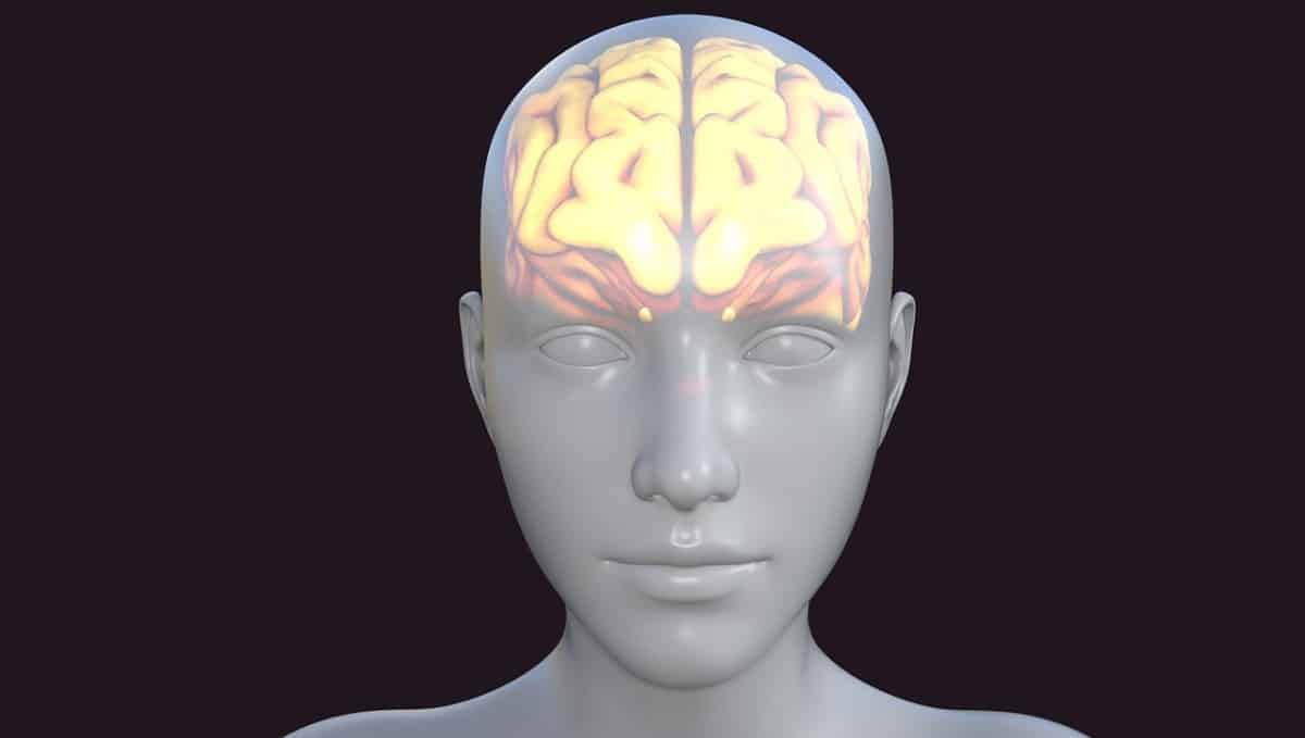 הצום עשוי לתרום לתפקוד המוחי. אילוסטרציה: pixabay