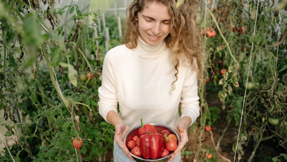 תזונה צמחית בריאה הפחיתה את הסיכון לחלות. צילום: pexels