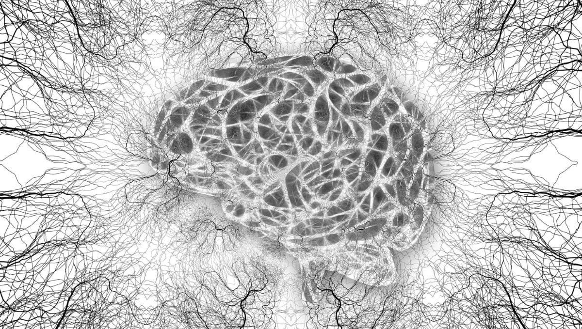 האיבר המורכב ביותר בגוף. תמונה: Pixabay