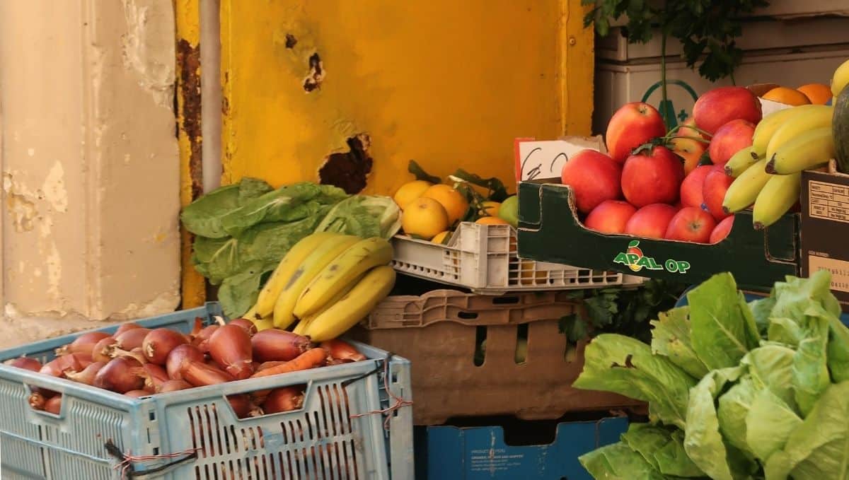 מזון טרי עדיף תמיד. צילום: Pexels