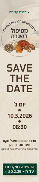 Bara_Mushroom_fly Bara_Mushroom_fly