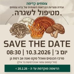 Bara_Mushroom_IN Bara_Mushroom_IN