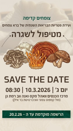 Bara_Mushroom_corner