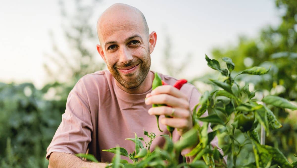 גל גזית. תמונה: estills