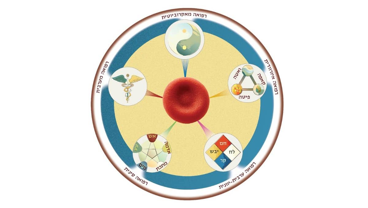 גופי הידע שהקורס מתבסס עליהם. תמונה: אייל שפרינגר