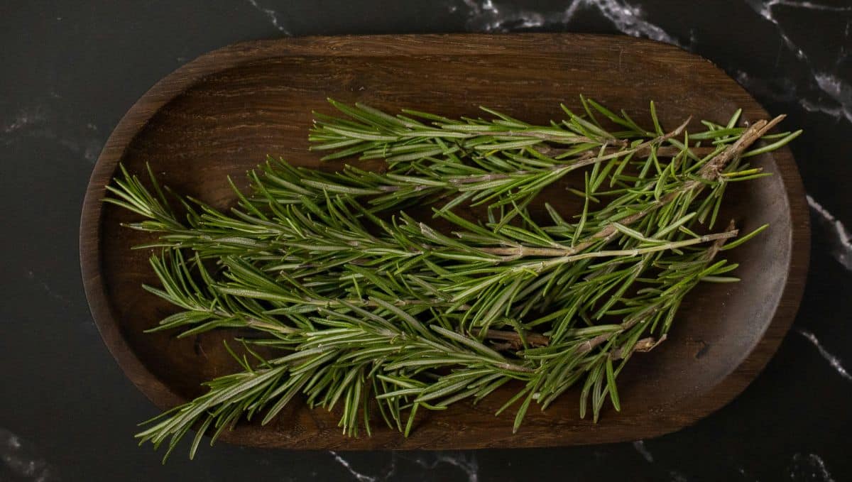 רוזמרין – נמצא במחקר כמקדם צמיחת שיער. צילום: Pexels