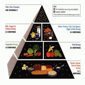 פירמידת המזון